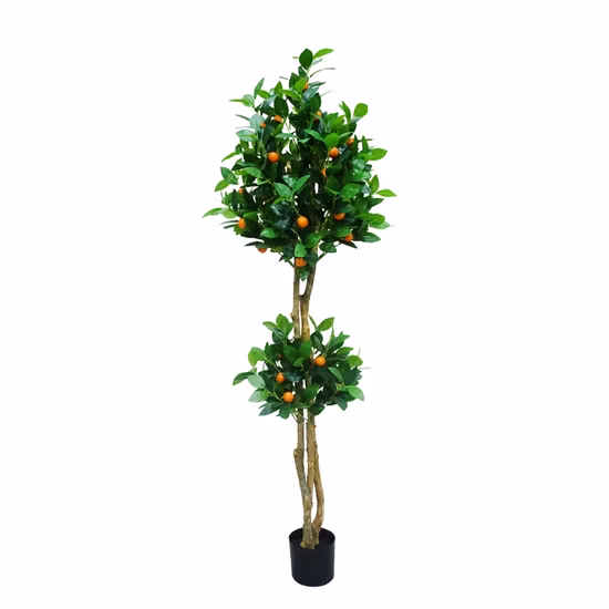 Old Tree Head 93 Fruits Ping an Jinju Artificial Plant