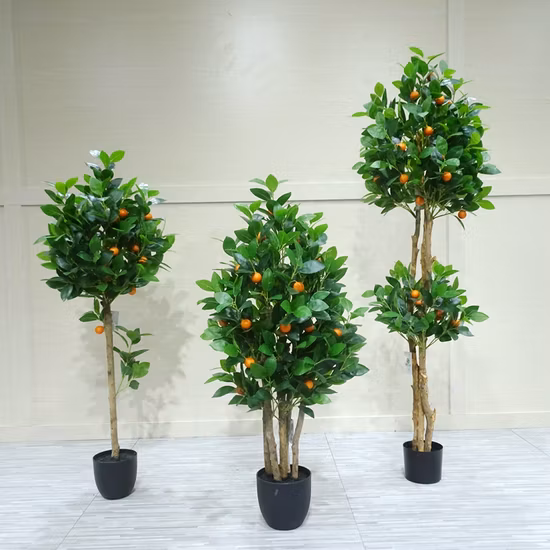 Testa dell'albero vecchio 93 frutti Fai un rumore metallico con una pianta Jinju artificiale